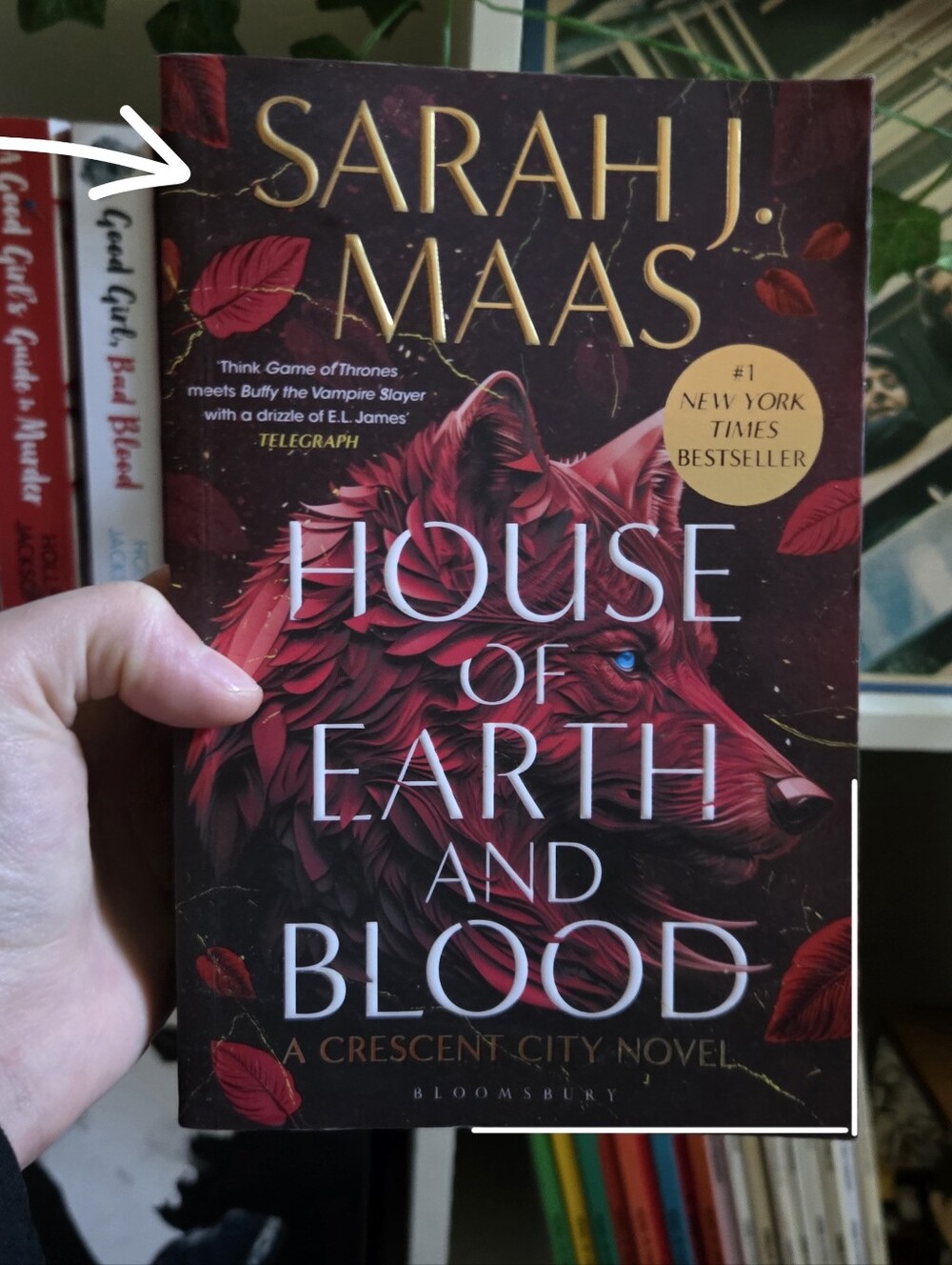 House of Earth and Blood - Paperback